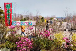 ���T���̐V���C�x���g���b4/20(�y)�E21(��)�J�Ẩ摜13