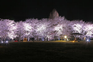 �㉁�������ŏ��̍����C�g�A�b�v���{���I 4/14(��)�܂Ł@4/14(��)�ɂ́u�㉁�����܂�v���J�Ẩ摜3