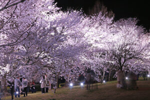 �㉁�������ŏ��̍����C�g�A�b�v���{���I 4/14(��)�܂Ł@4/14(��)�ɂ́u�㉁�����܂�v���J�Ẩ摜2