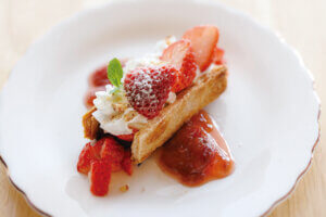 ���̏t��΍s�������I���Ԍ��X�|�b�g�����Ӄ����`���Љ�w���ƃ����`�x�b�����s�҂̉摜8