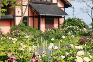 2025bṼo6I Cxg̉摜5