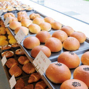 �ɂ��܂�X�����H�t��̃x�[�J���[�u�O�[�e�v�������I ��50��̑f�p�ȃp���������̉摜5