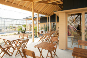 2024�b�H�ו���Ŋy���߂�I�V���̂������ڎ��X�|�b�g�̉摜5