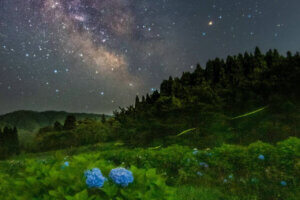 2025�b�V���̃z�^���Ϗ܃X�|�b�g16�I�̉摜5