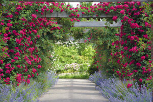 T̐VCxgb5/18(y)E19()JẨ摜9