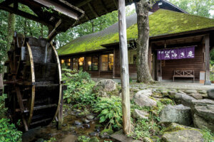 ���ł����ɗ�����肽�� �V���̋����̖��X15�I�̉摜20