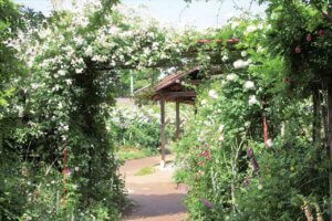 T̐VCxgb5/18(y)E19()JẨ摜7