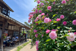 2025bVEẲԂ߂ i8Ỉ摜5