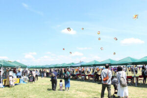 T̐VCxgb6/1(y)E2()JẨ摜7