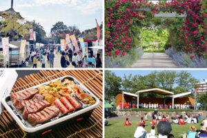 T̐VCxgb5/18(y)E19()JẪC摜