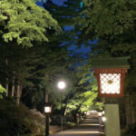 T̐VCxgb5/18(y)E19()JẨ摜6