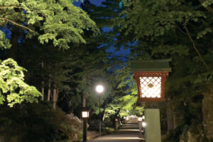 T̐VCxgb5/18(y)E19()JẨ摜6