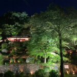 T̐VCxgb5/18(y)E19()JẨ摜11