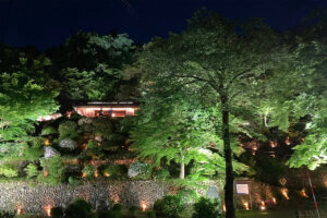 T̐VCxgb5/18(y)E19()JẨ摜11