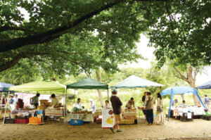 ���T���̐V���C�x���g���b6/8(�y)�E9(��)�J�Ẩ摜2