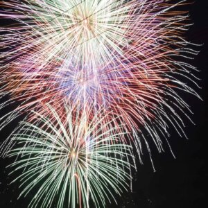 TJÂV̉ԉΑ܂Ƃ߁b8/11(j)`17()̉摜6