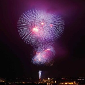 ���~�J�ÁI�V�������̉ԉΑ��10�I�b8/10(�y)�`17(�y)�̉摜6