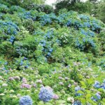 �����ɍs����V���C�x���g���b7/7(��)�`11(��)�̉摜10