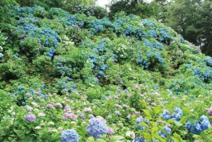 �����ɍs����V���C�x���g���b7/7(��)�`11(��)�̉摜10