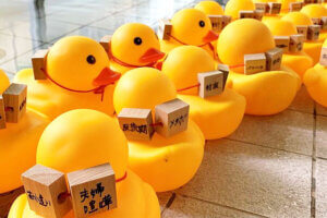 ���T���̐V���C�x���g���b6/15(�y)�E16(��)�J�Ẩ摜9