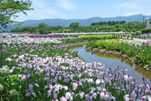 �����ɍs����V���C�x���g���b6/17(��)�`21(��)�̉摜4