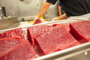 ���T���̐V���C�x���g���b6/15(�y)�E16(��)�J�Ẩ摜7