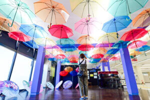 �����ɍs����V���C�x���g���b7/8(��)�`12(��)�̉摜8