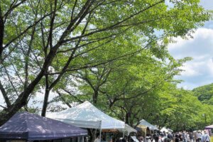 ���T���̐V���C�x���g���b6/15(�y)�E16(��)�J�Ẩ摜13