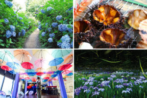 �����ɍs����V���C�x���g���b6/17(��)�`21(��)�̃��C���摜