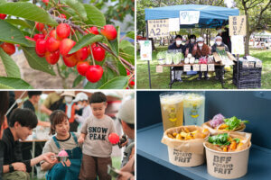 ���T���̐V���C�x���g���b6/8(�y)�E9(��)�J�Ẫ��C���摜