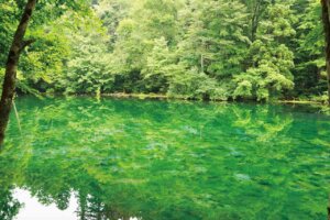 �Ăɂ������߁I�V���E�����������X�|�b�g18�I ����������̉摜24