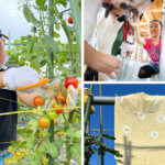 ���T���̐V���C�x���g���b8/3(�y)�E4(��)�J�Ẩ摜3