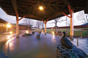 ���̉čs�������I�C���R���y���ސV���`��F�h���C�u�^�������߃X�|�b�g�`��ҁ`�̉摜2