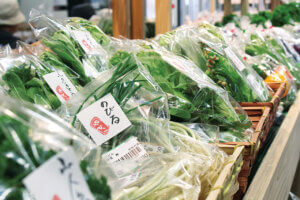 ���̉čs�������I�C���R���y���ސV���`��F�h���C�u�^�������߃X�|�b�g�`��ҁ`�̉摜14