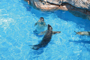 2025�b�e�q�ōs����I�V���̉ċx�݃��W���[�X�|�b�g18�I�̉摜3