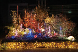 �����ɍs����V���C�x���g���b9/2(��)�`6(��)�̉摜3