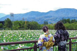 T̐VCxgb7/13(y)`15(j)JẨ摜17