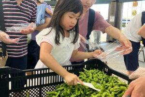 40N̗j̓Iu܂v^cx̃NEht@fBO{@8/17(y)܂ł̉摜3