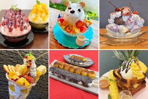 T̐VCxgb7/13(y)`15(j)JẨ摜16