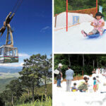 ���T���̐V���C�x���g���b8/3(�y)�E4(��)�J�Ẩ摜11