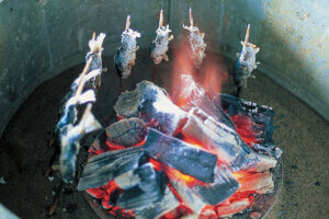 2025�b�e�q�ōs����I�V���̉ċx�݃��W���[�X�|�b�g18�I�̉摜7