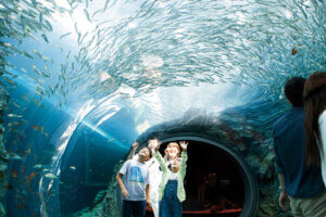 2025�b�e�q�ōs����I�V���̉ċx�݃��W���[�X�|�b�g18�I�̉摜25