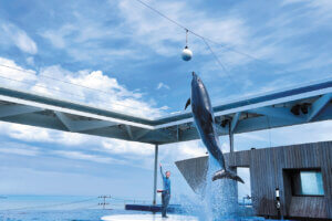 2025�b�e�q�ōs����I�V���̉ċx�݃��W���[�X�|�b�g18�I�̉摜26