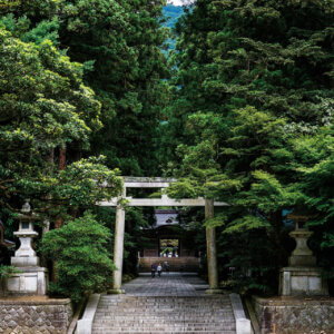 �Ăɂ������߁I�V���E�����������X�|�b�g18�I ����������̉摜12