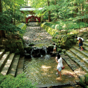 �Ăɂ������߁I�V���E�����������X�|�b�g18�I ����������̉摜13