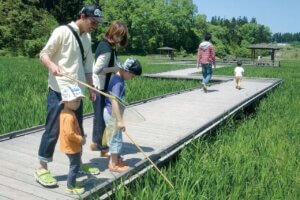 2025�b�e�q�ōs����I�V���̉ċx�݃��W���[�X�|�b�g18�I�̉摜23