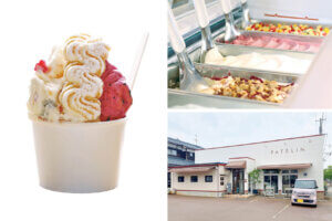 �J���[�ƃA�C�X�����߂ĉăh���C�u�I�V���̐l�C�J���[�X�{���ӂ̃W�F���[�g���A�C�X�̉摜6