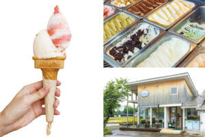 �J���[�ƃA�C�X�����߂ĉăh���C�u�I�V���̐l�C�J���[�X�{���ӂ̃W�F���[�g���A�C�X�̉摜24