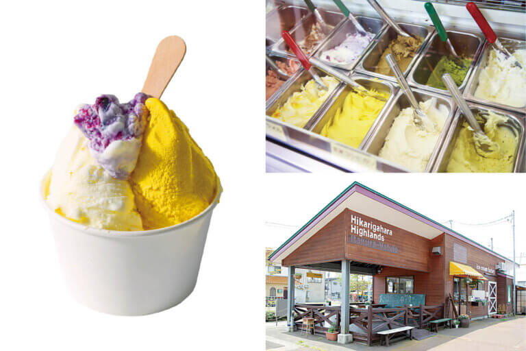 �J���[�ƃA�C�X�����߂ĉăh���C�u�I�V���̐l�C�J���[�X�{���ӂ̃W�F���[�g���A�C�X�̉摜29