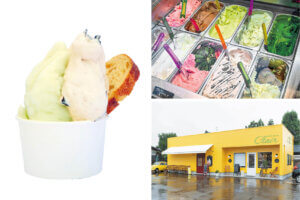 �J���[�ƃA�C�X�����߂ĉăh���C�u�I�V���̐l�C�J���[�X�{���ӂ̃W�F���[�g���A�C�X�̉摜10